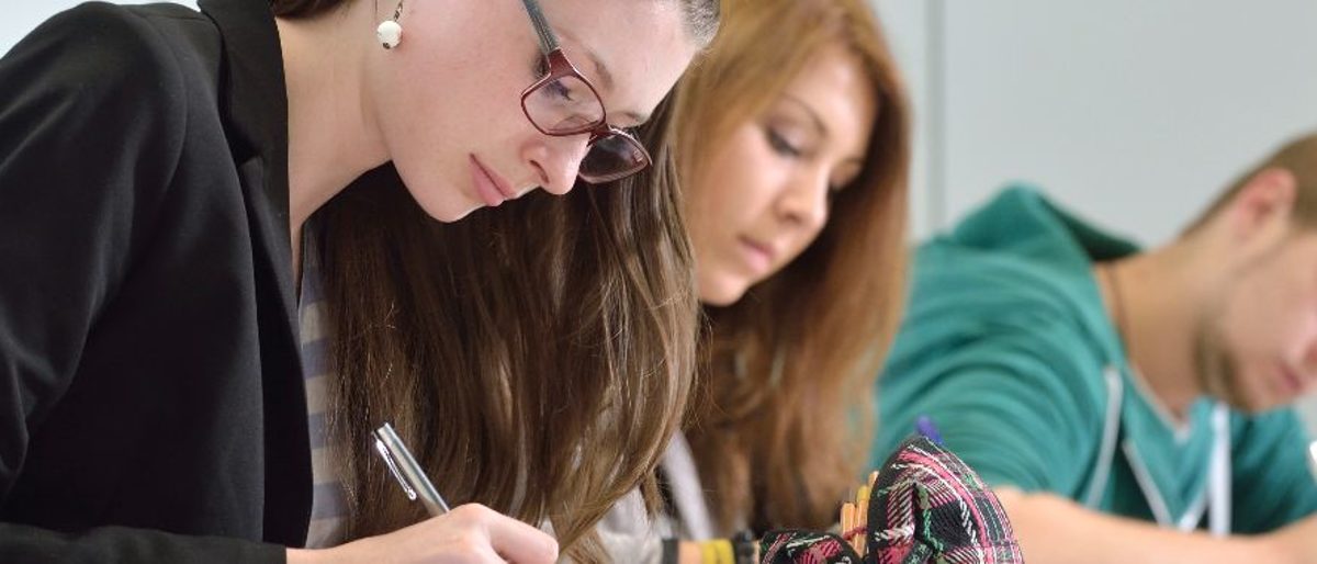 ülu, weiterbildung, lehrgang, prüfung, kurs, studiengang, kaufmann europäischer waren und dienstleistungsverkehr, kauffrau, europa, eu, schreiben, frau, mann, auszubildende, lehrgang