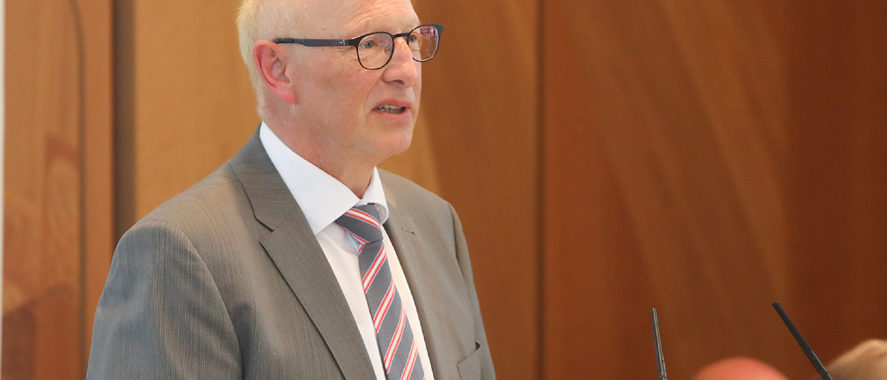 3_1 steinmann