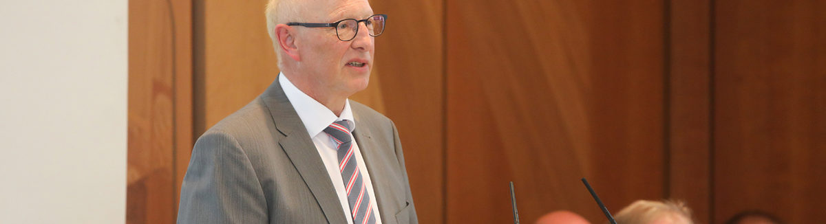 3_1 steinmann