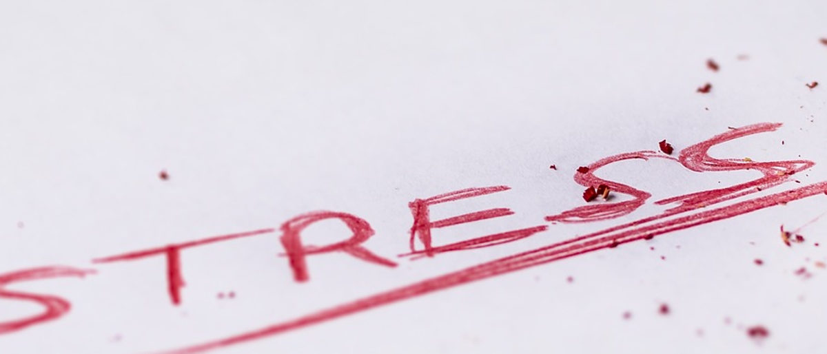 stress_3-1