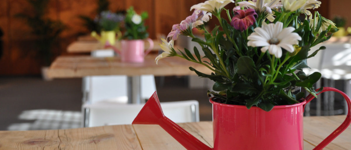 sommerevent 2020 ausschre3ibung beschaffung Veröffentlichung einer Bekanntmachung Teilnahmewettbewerb blumen tisch deko