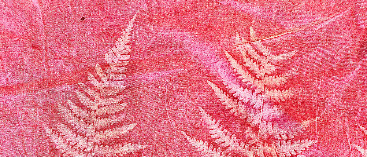 Marion Krüger: Sunprint Marion Krüger: Sunprint